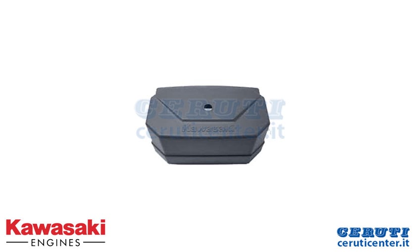 kawasaki-ricambi