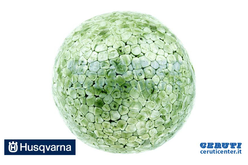 Sfera - Originale Husqvarna - 514995700