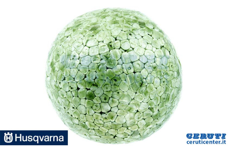 Sfera - Originale Husqvarna - 514995700