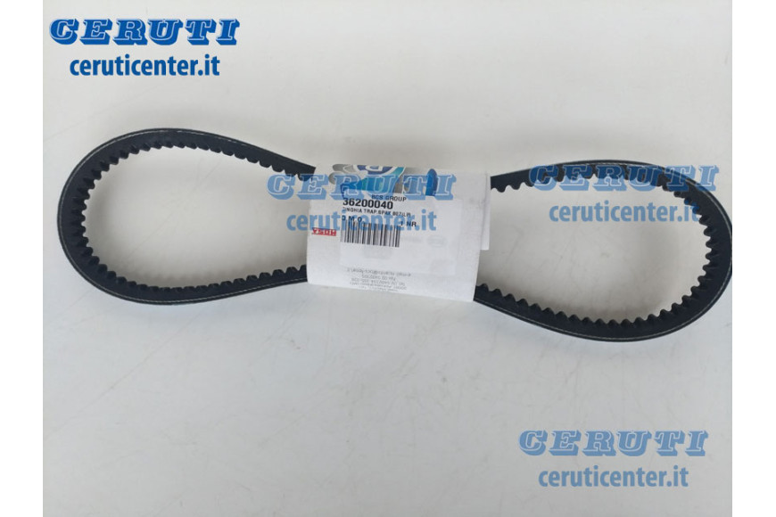 V Belt .Spax 807 - BCS genuine - 36200040