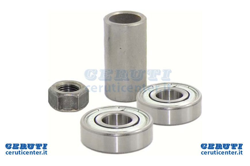 Kit Bushing et roulements X 1001004 Ag - Ag 1001099