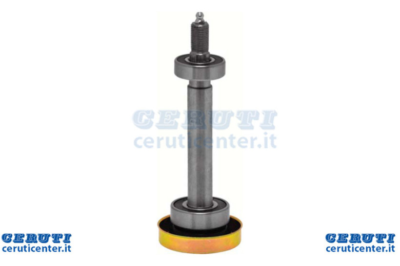Alberino Ayp 187291 - Ag 1003015