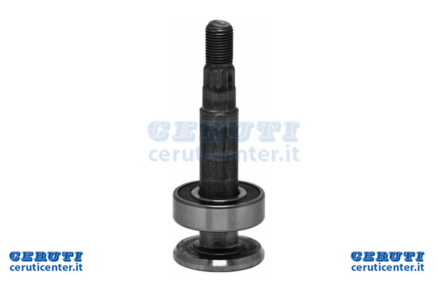 Type d'arbre AYP 137553 - Ag 1003016