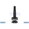 Type d'arbre AYP 137553 - Ag 1003016