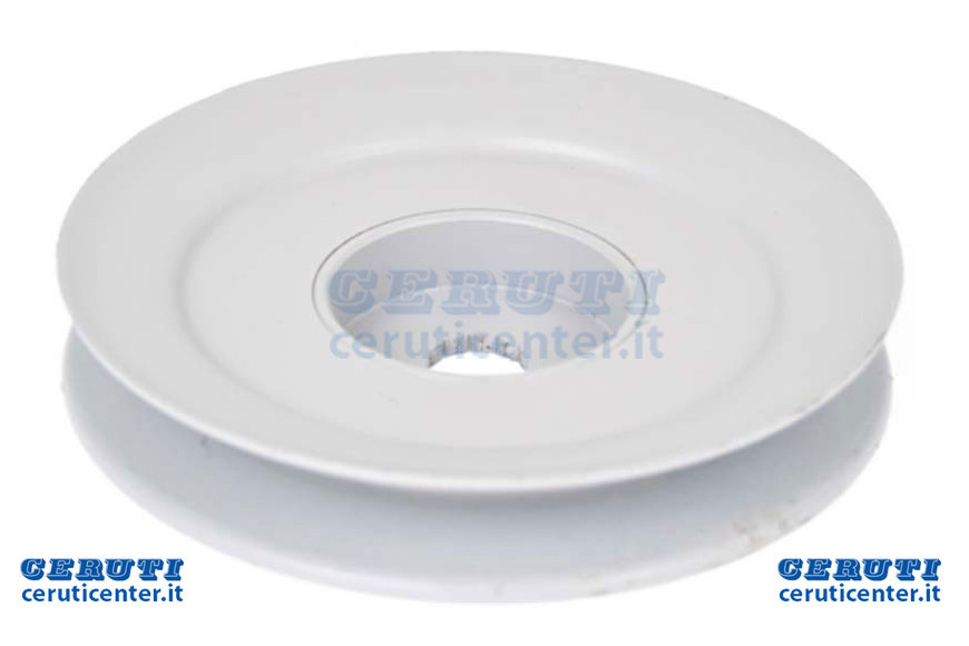 Pyleggia Ad.Murray 94592 - Ag 2000013