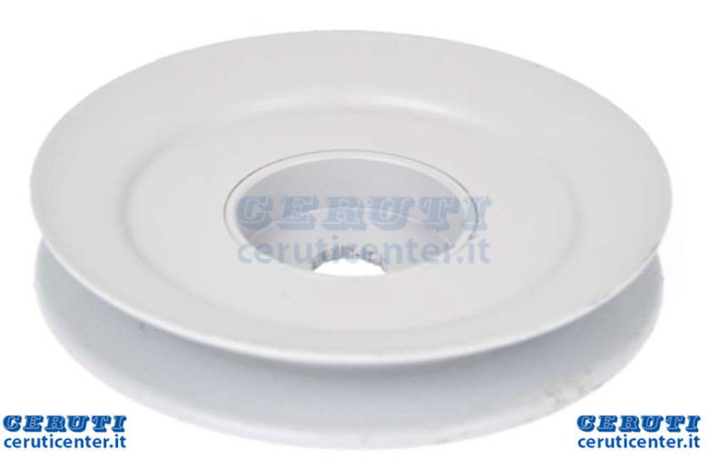 Pyleggia Ad.Murray 94592 - 2000013 Ag