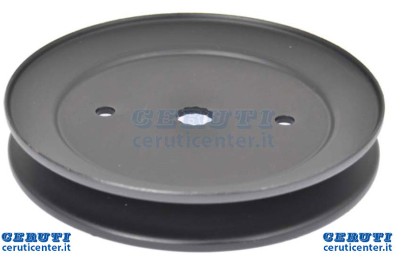 Pulley Lama Ad.Ayp 195.945 - 2.000.019 Ag