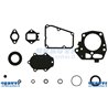 Serie Seals Fr-Fs Fx-541 & 600 V inklusive Vergaser Kit - Ks110286296