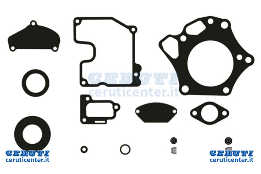 Seals Serie V 921 1000 Fx inklusive Vergaser Kit - Ks110286289