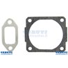 Serie Seals St MS260 - Ag 2200068