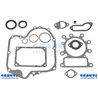 Serie Guarnizioni Ex 697151 - 796181 - Originale Briggs & Stratton