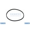 Guarniz.Vasc.Ag Ex29630121 0.410.013-0.410.016 Ag