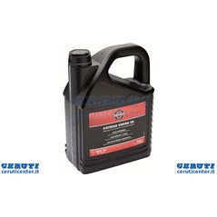 Huile SAE 30 Briggs & Stratton - 100009E