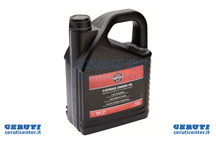 5,0L Huile Sae 30 B & S - 100009 E