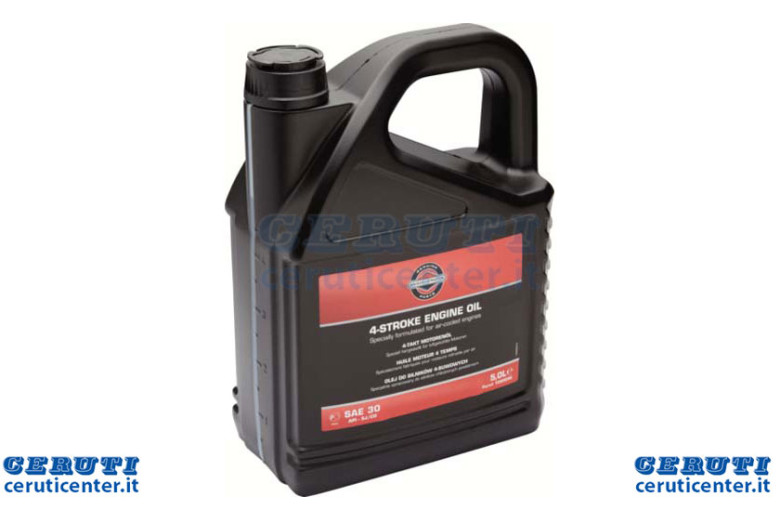 5,0L Huile Sae 30 B & S - 100009 E