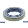 Anello Di Tenuta - 503260205 - sostituisce - 151373301