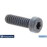 Screw Itxsct - 503215420 - Originale Husqvarna