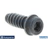 Vite Ihsct - 503210270 - Originale Husqvarna