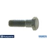 Vite Ehhm - 503201201 - Originale Husqvarna