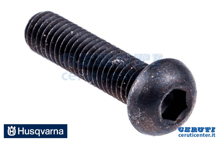 Vite 6X25 - Originale Husqvarna - 501361965