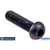 Vite 6X25 - Originale Husqvarna - 501361965