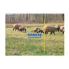 Rotolo 50Mt Rete Elettr.Ovini H.108 Length 50 M Height 108 Cm