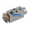 Expansion Valves
