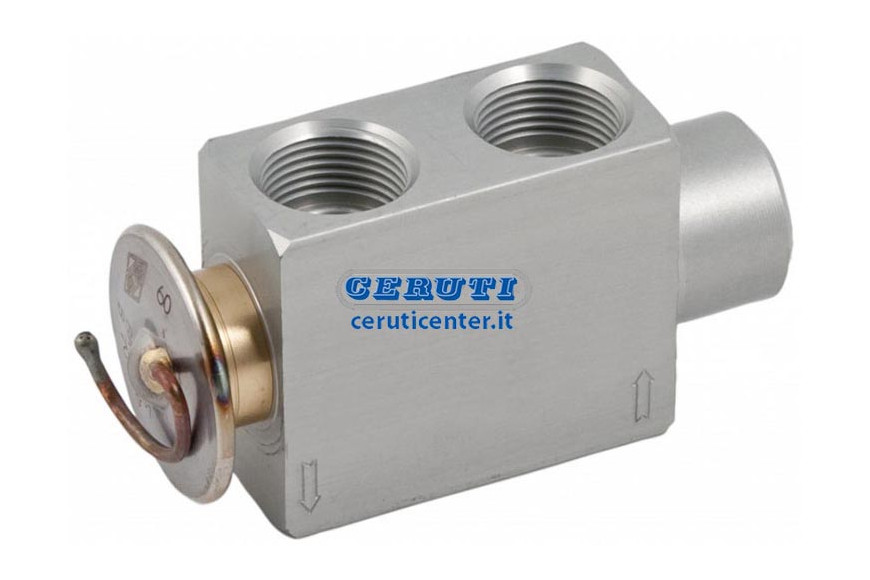 Expansion Valves