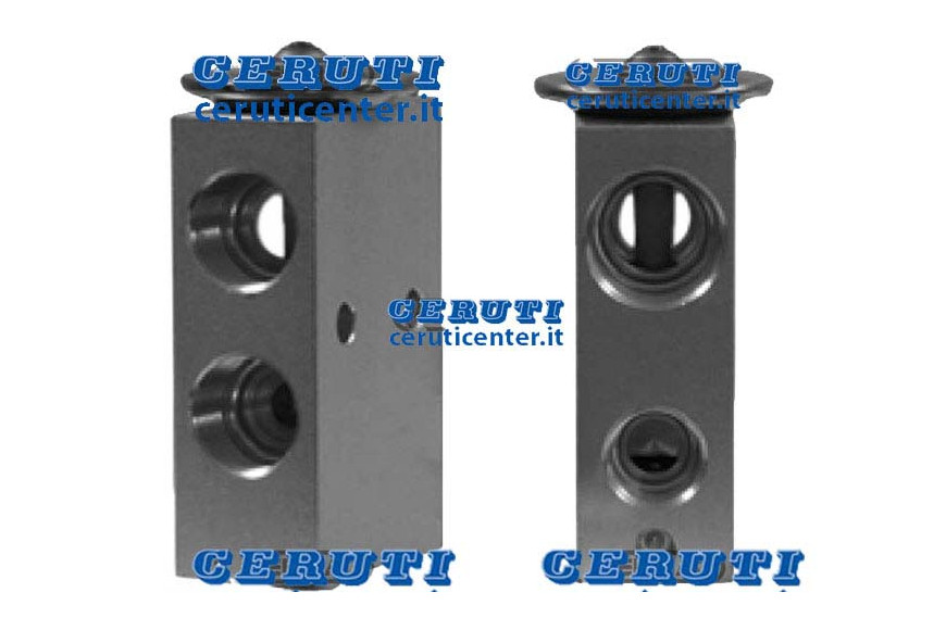 Expansion Valve for Agco-CNH-Mf