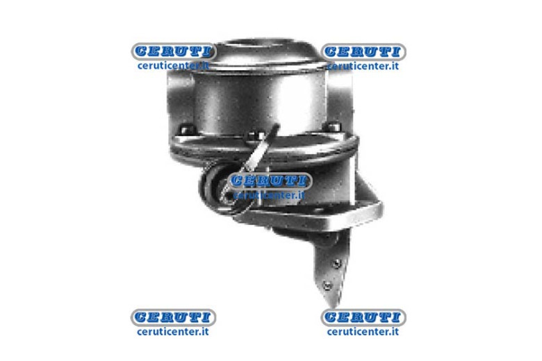 Pompes A Membrane Alimentation Hazout Membrane Massey Ferguson