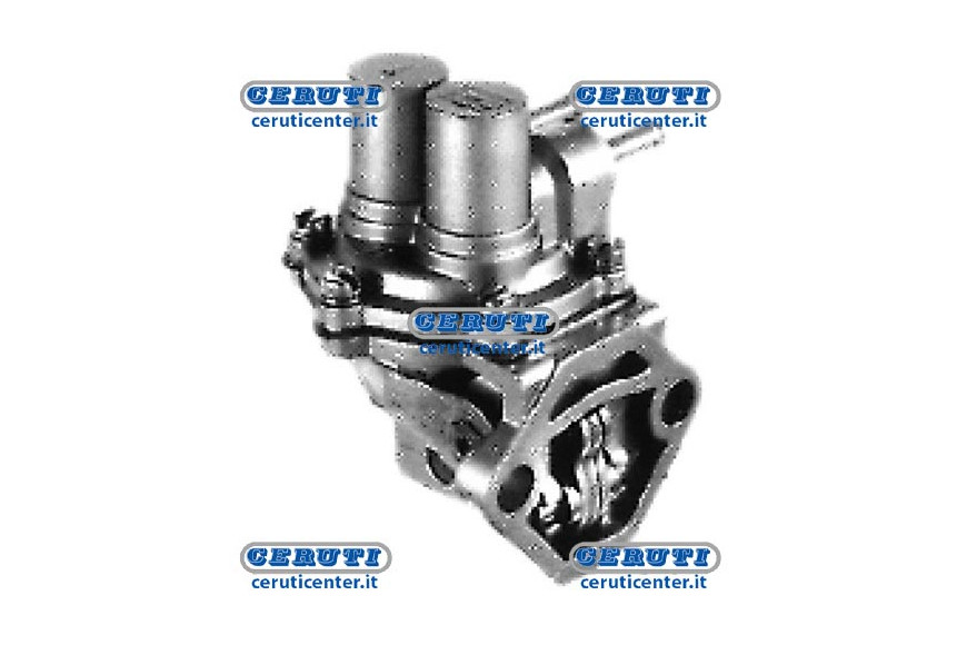 Membrane Pump Naphta Alimentation Intermotor
