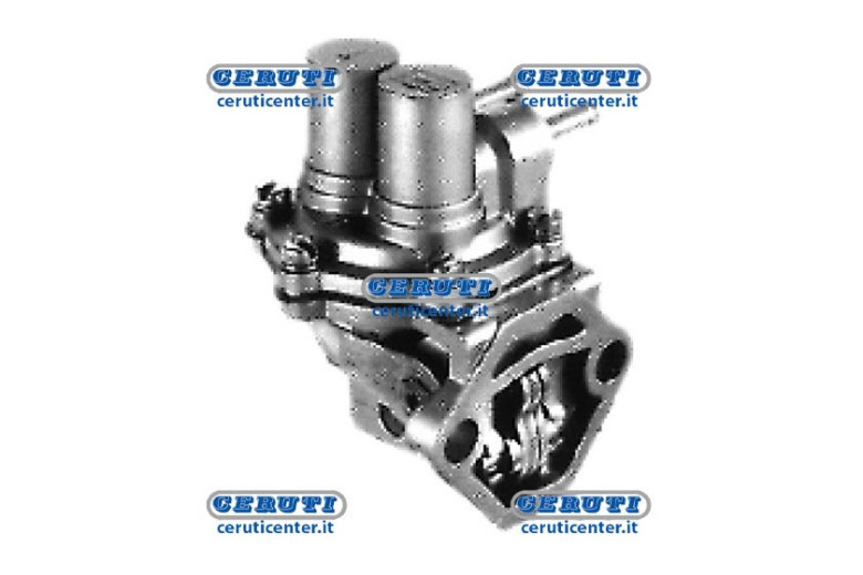 Membrane Pump Naphta Alimentation Intermotor