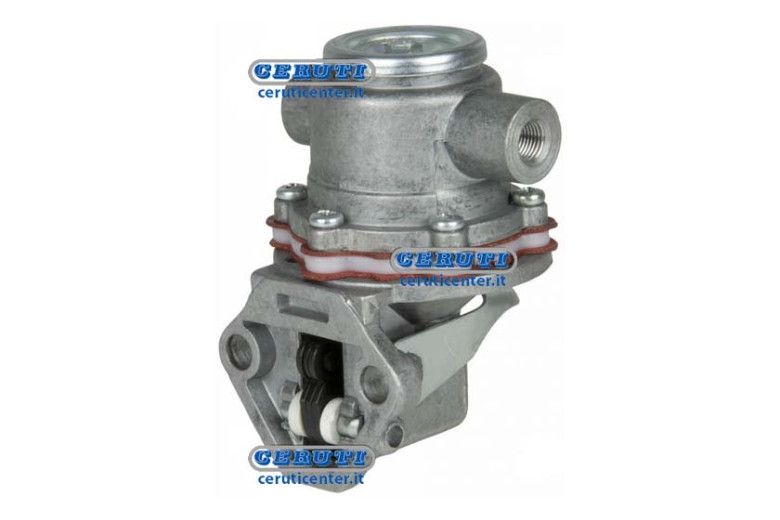 Membrane Pump Naphta Alimentation Massey Ferguson, Slanzi