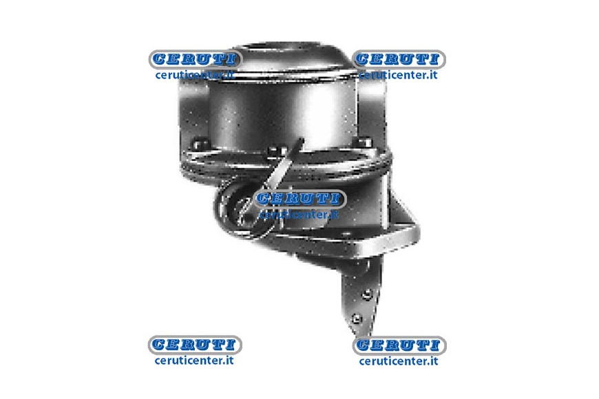 Membrane Pump Naphta Alimentation Landini, Massey Ferguson, Perkins