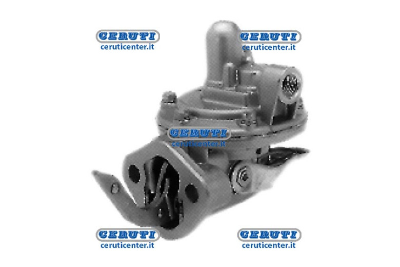 Membrane Pump Naphta Alimentation Perkins