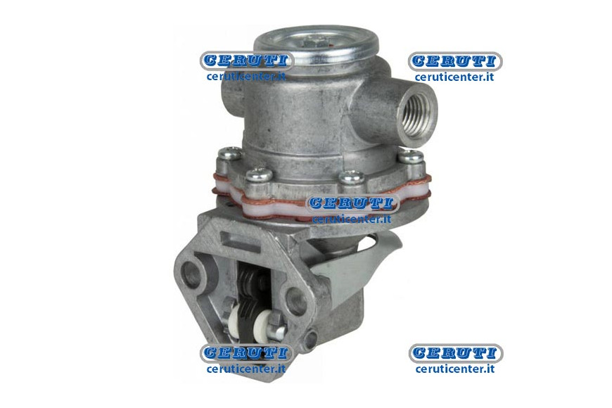 Membrane Pump Naphta Alimentation
