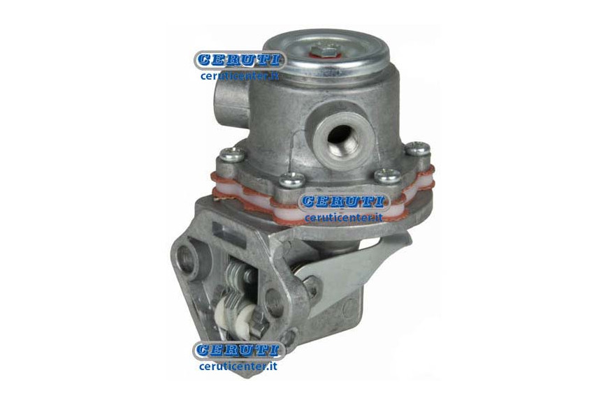 Membrane Pump Naphta Alimentation Ruggerini