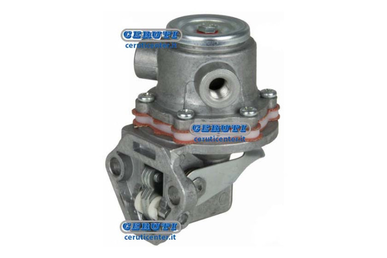 Membrane Pump Naphta Alimentation Ruggerini