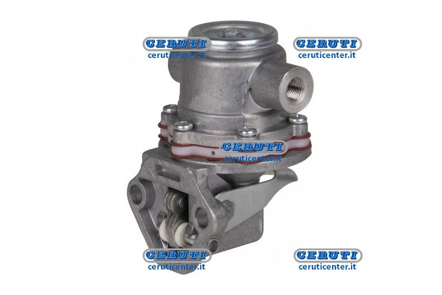 Membrane Pump Naphta Alimentation Slanzi