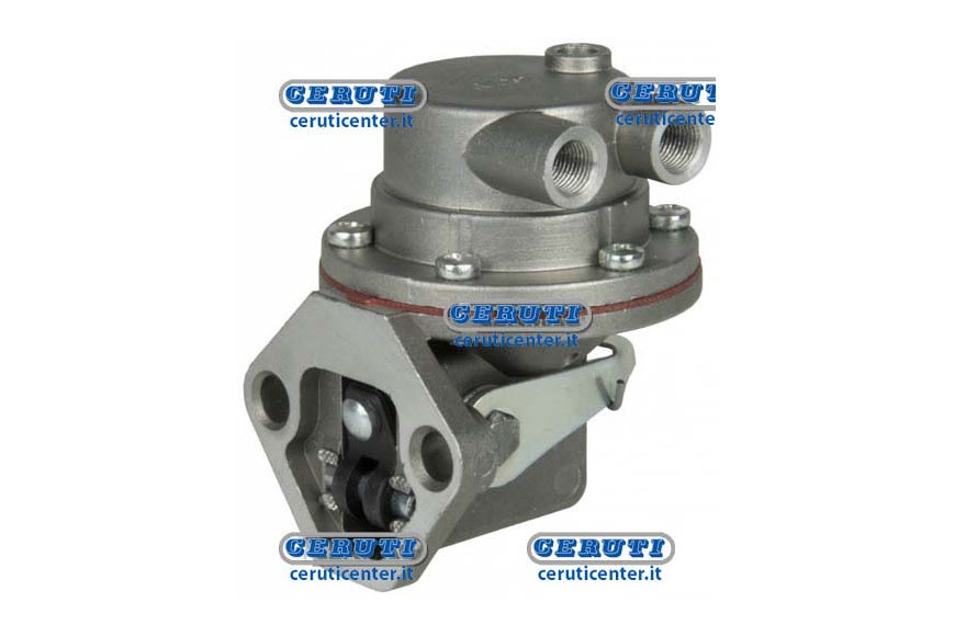 Membrane Pump Naphta Alimentation Ruggerini