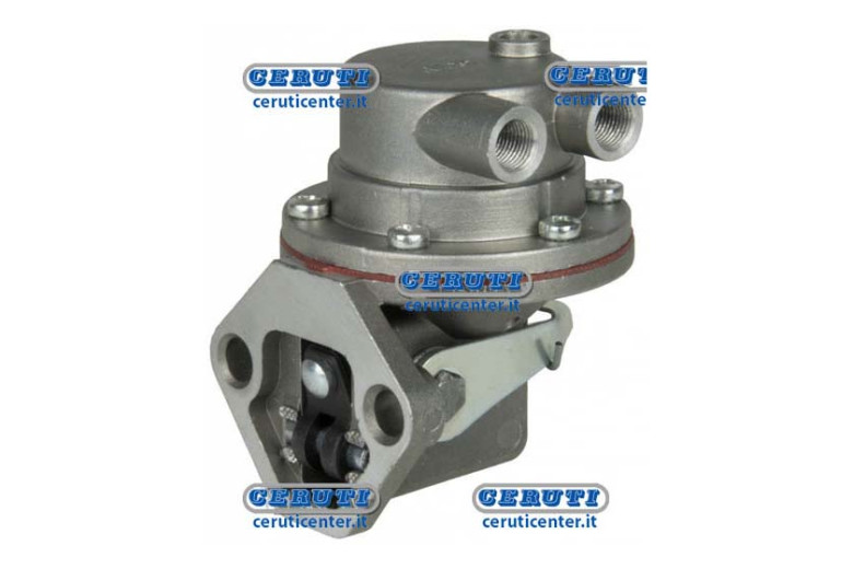Membranpumpen Gaszuführun Ruggerini