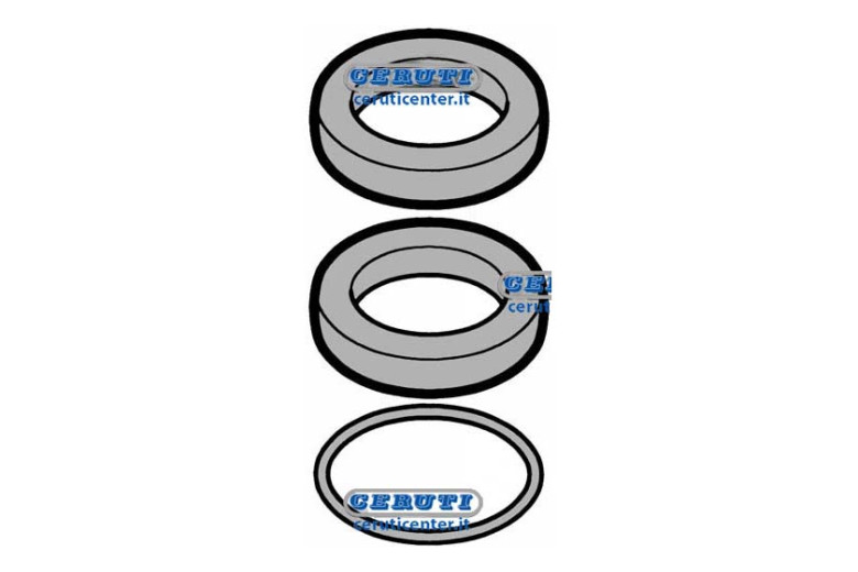Anello Di Tenuta Asta P. LDA100(10Pz) - Adattabile 4740-017, 4740017