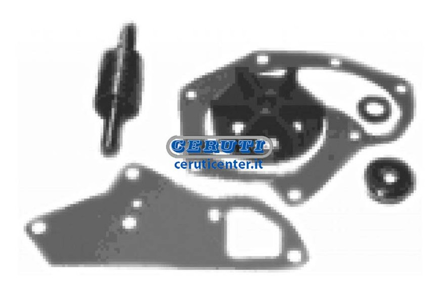 Kit Riparazione Pompa Jd 1020-2030 - Adattabile RE11345, RE62658