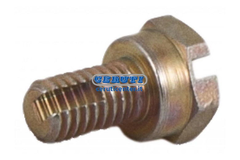 Vite Di Spurgo M6 Tipo Originale Bosch