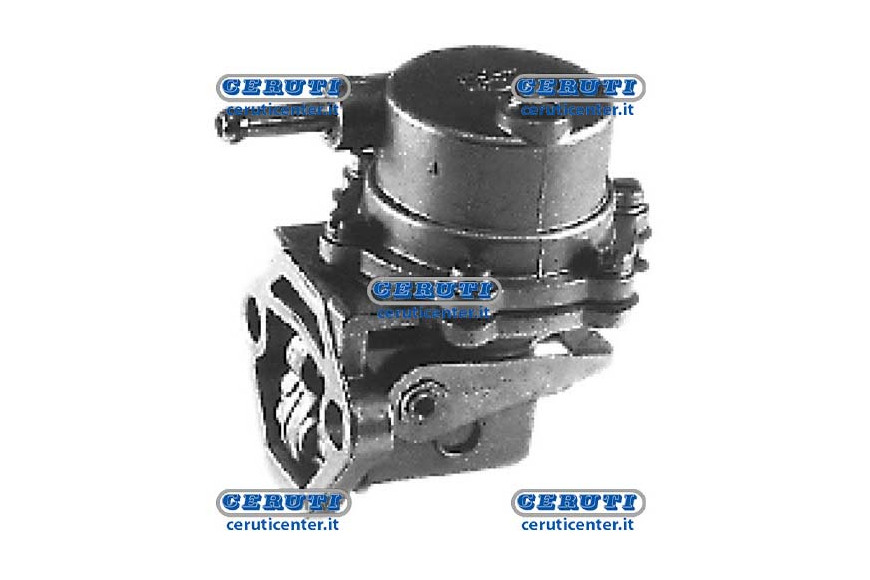 Membrane Pump Naphta Alimentation Lombardini