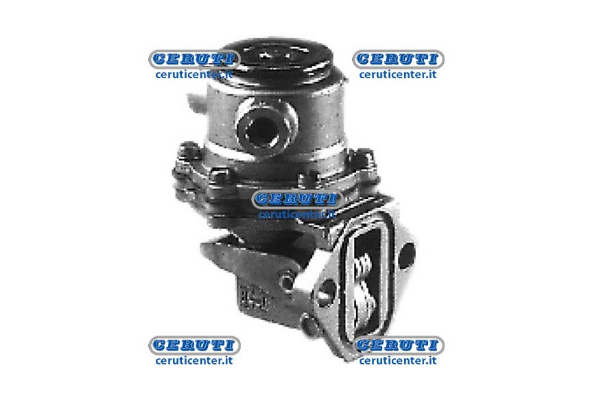 Membrane Pump Naphta Alimentation Lombardini