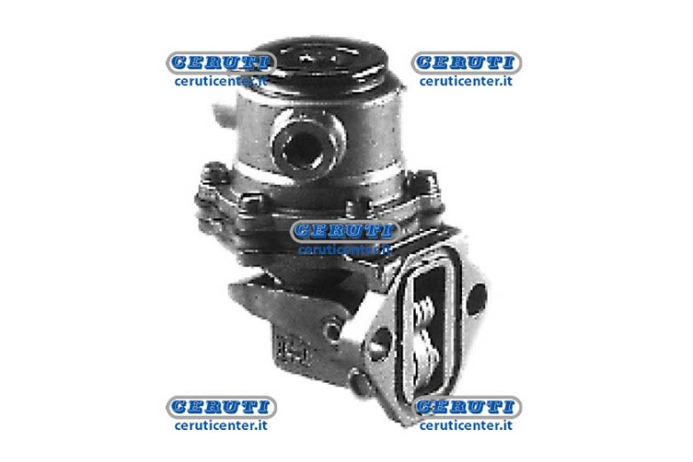 Membrane Pump Naphta Alimentation Lombardini