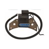www.ceruticenter.it/15565-small_default/a.jpg