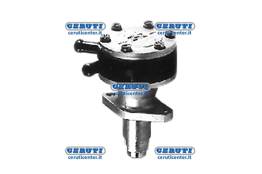 Membrane Pump Naphta Alimentation Kubota