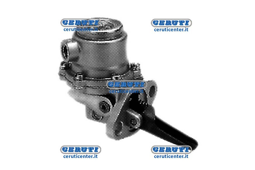 Membrane Pump Naphta Alimentation Fendt, Renault